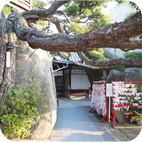 神社のおみくじを縛る場所